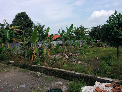 SD Negeri Cilacap 01
