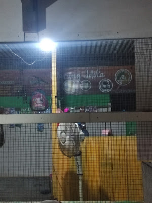 Sempol Ayam Idola