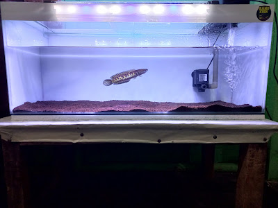 Serayu Aquatic