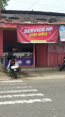 SERVICE HP VIOCELL PWT