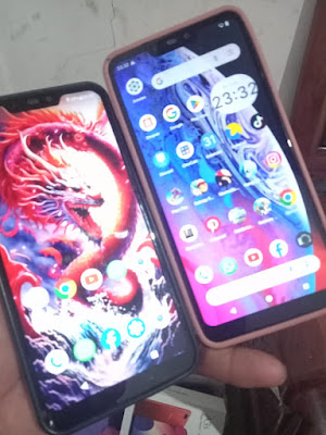 Setya cell