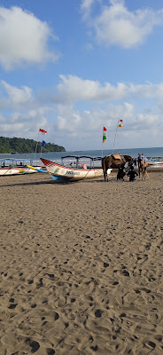 Sewaan Selancar LG
