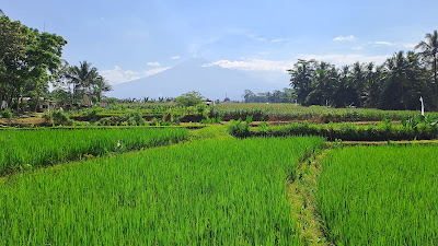 SFV Mangunegara