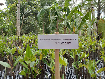 Sida Asih Kutawaru
