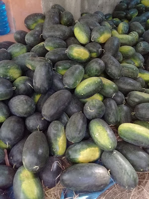 Sindal Bakul Pace