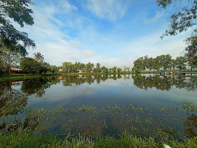 Situ Rawa Bamban Kedungwringin