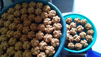 Snack ANR