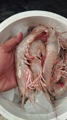 Spesialis Ikan Fresh