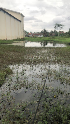 Spot memancing ikan gabus