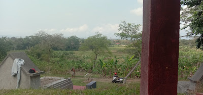 spot tekukur