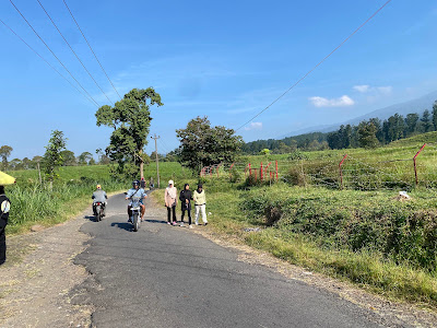 Spot View Sapi Perah Limpakuwus