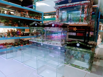 Subur Aquarium ( SB )