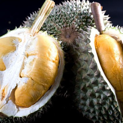 Sudadi Durian Montong
