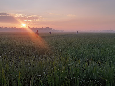 Sunrise Cisumur