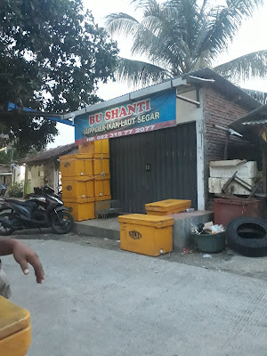 Supllyer Ikan Segar