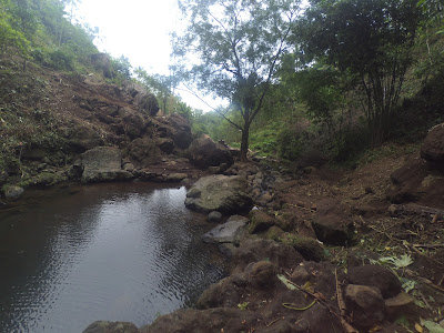Taman Air Terjun Tuntunglaukan