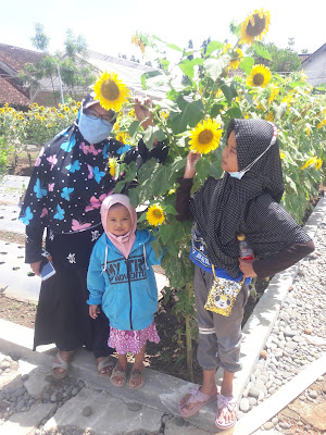 Taman bunga Bu Ratmi