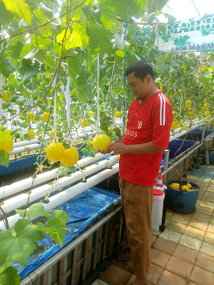 Taman Edukasi Ketapang