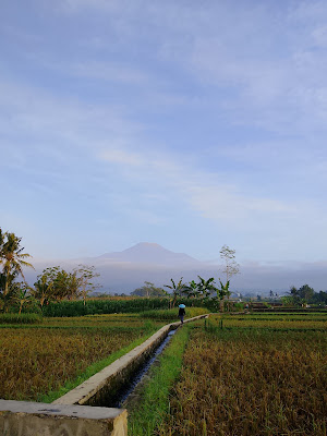 Taman Tepi Sawah