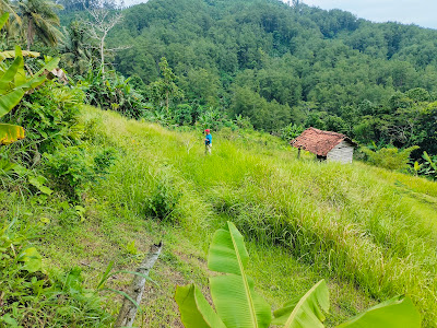 Tanah Kas Desa Dermaji