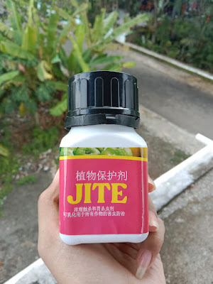 Tanamania Co.