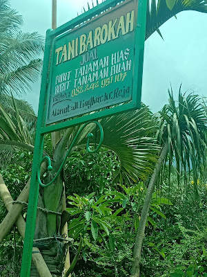Tani Barokah Tanaman Hias Dan Buah