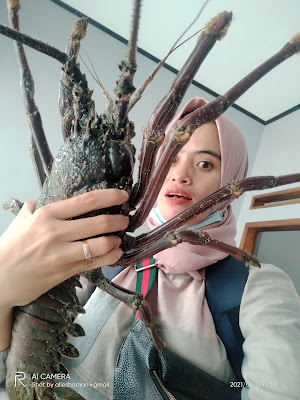 Teh Dian lobster