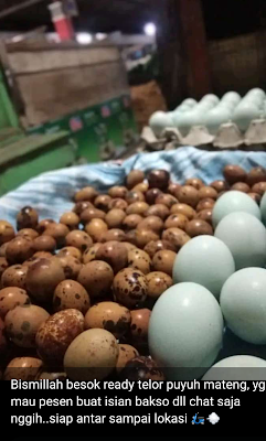 Telor puyuh/Pindang kranjanagan/tongkol