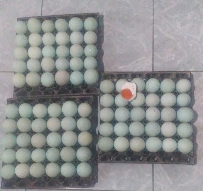 Telur Asin "Bu Nur"