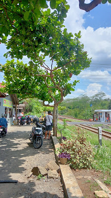 Tempat hunting kereta api dekat pjl 363A(perlintasan pasirmuncang jl.Veteran)