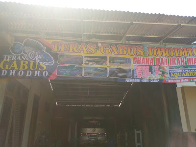 Teras Akuarium dhodho