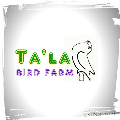 Thala Bird Farm