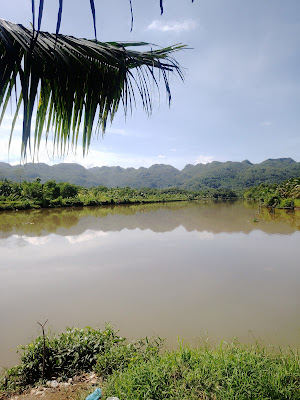 tikungan tanggul sawah desa jetis,pejaten
