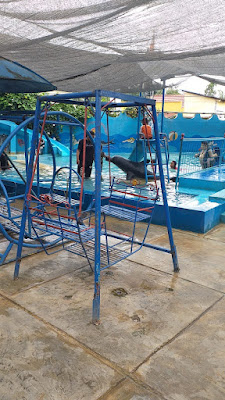 Tirta Family Swimming Pool