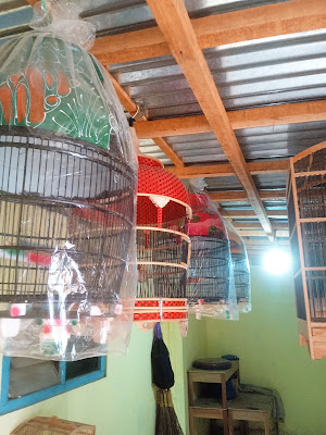 Toko Bakul Jagung Jompo