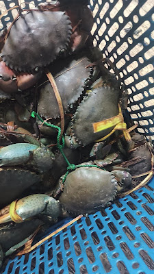 Toko berkah laut