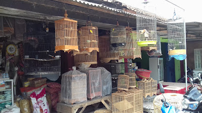 toko bumbu dan pakan burung mas dwi