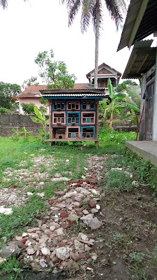 Toko Burung Dara/merpati jeruklegi