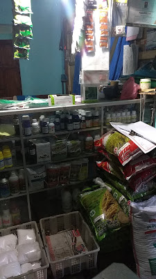 Toko Enam Saudara