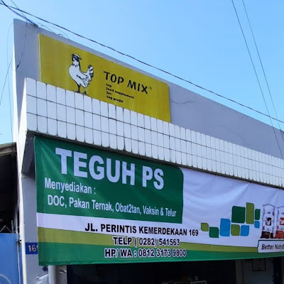 Lintang Store