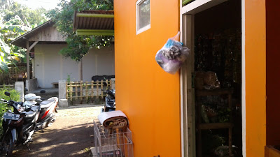 Toko Menik