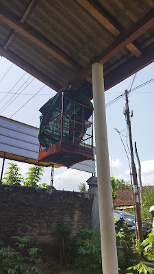 Toko Nasib