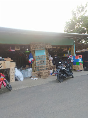 Toko pakan Burung