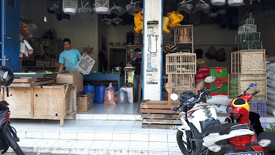 Toko Pakan Hewan Widjaya Kedungbanteng