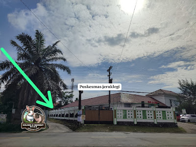 TOKO PECI AL AAMIIN (Hasan Fuad)