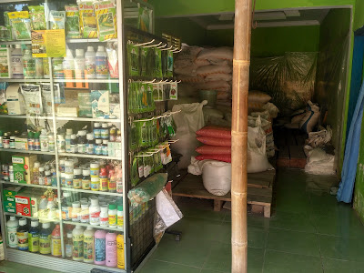 Toko Pertanian "Kembar Tani" dan "BRILINK"