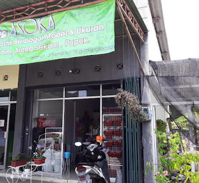 TOKO POT ASOKA