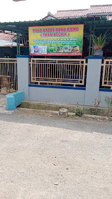 TOKO PUPUK BAGUS RORO AJENG/IWAN BOCILA