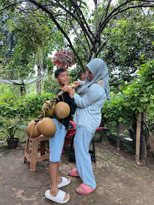 Toko tanaman hias Teh Cicih
