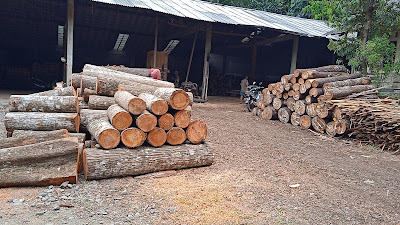 TOKO UD.PERINTIS